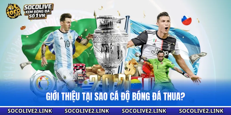 Giới thiệu tại sao cá độ bóng đá thua?